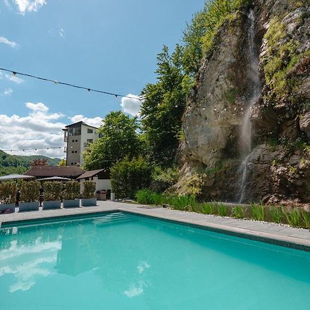 Pensiunea Apuseni Wild Remeţi Exterior foto