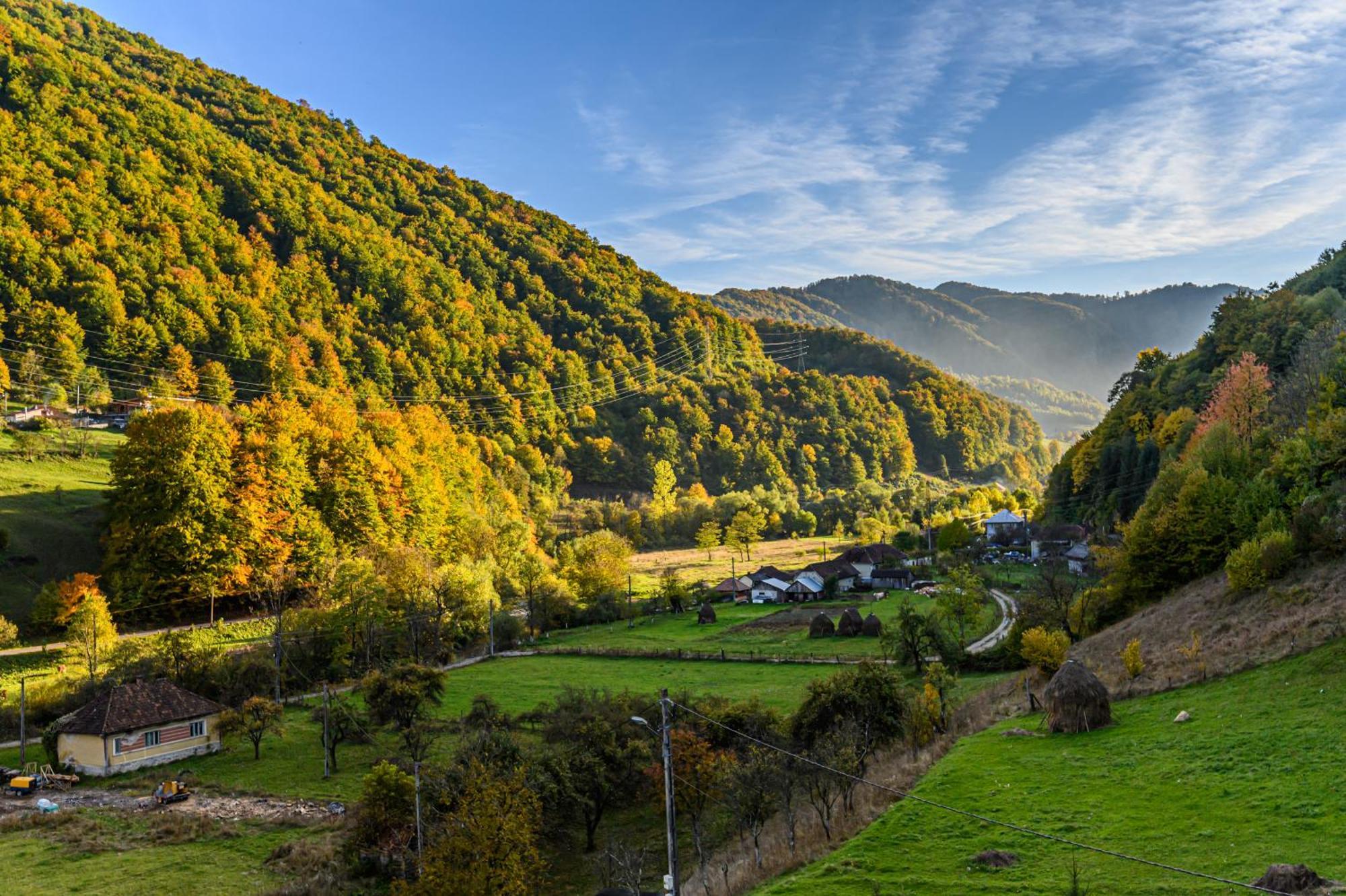 Pensiunea Apuseni Wild Remeţi Exterior foto
